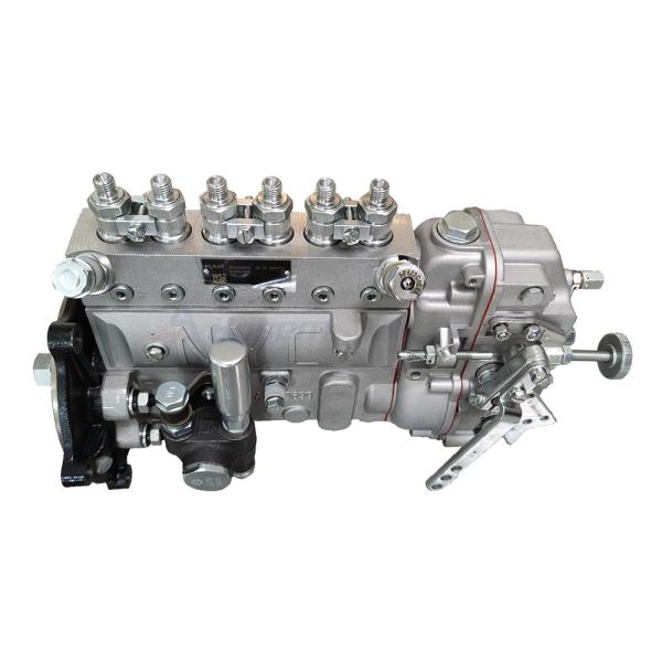 Fuel Pump and Fuel Transfer Pump B6AD298K6 BH6AD100R for Kofo Recardo Engine