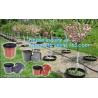Buy cheap plastic pots for nursery plants clear orchid pots photo,1, 2, 2.5, 3, 5, 7, 10 gallon nursery plastic flower pot,plantin from wholesalers