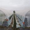 Buy cheap Small Pvc Material Plastic Film Greenhouse Industrial Hydroponic from wholesalers