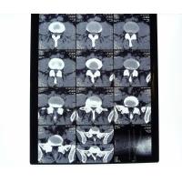 Buy cheap White PET AGFA Medical Dry Film product