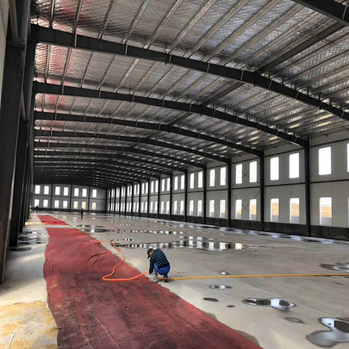 Customized Steel Structure Workshop Angle Steel Frame Farm Buildings