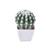 Buy cheap Indoor Realistic Faux Greenery Potted Plants 8*15cm 10*15cm 10*18cm from wholesalers