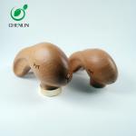 Buy cheap Walnut Log Solid Wooden Umbrella Handle , Animal Head Umbrella Handle from wholesalers