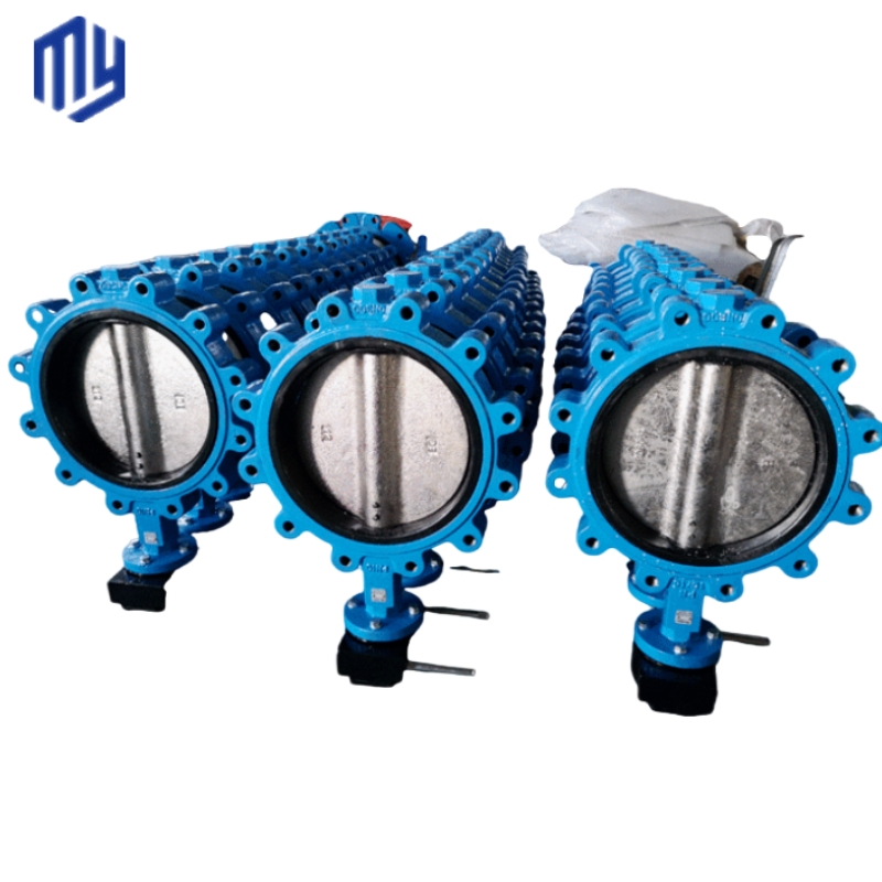 Excellent Cast Iron Stainless Steel Valves and Fittings for Versatile Applications