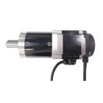 Access Control System 200W 36V 60mm servo motor 75RPM High level water proof