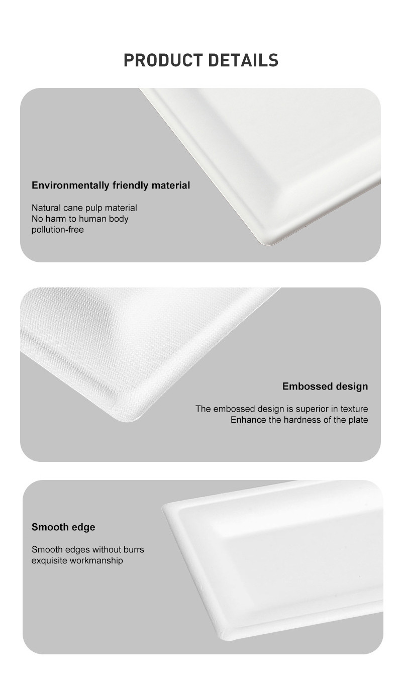 Eco Friendly Square Food Pulp Plate With Lid OEM ODM Available