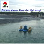 Global Market Aquaculture Liners Waterproof HDPE Geomembrane Liners Directly
