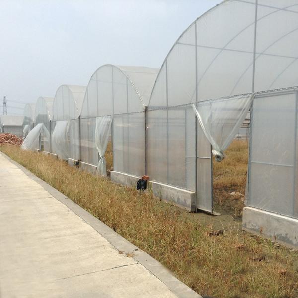 Buy cheap Hydroponic Poly Film Multi Span Greenhouse from wholesalers