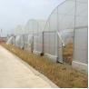Buy cheap Hydroponic Poly Film Multi Span Greenhouse from wholesalers