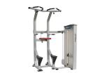 Assisted Dip Chin Strength Training Machine , Professional Matrix Bodybuilding