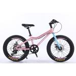 Youth Children 20" Shimano 7-Speed Super Light Kids Bike With Mechanical Disc