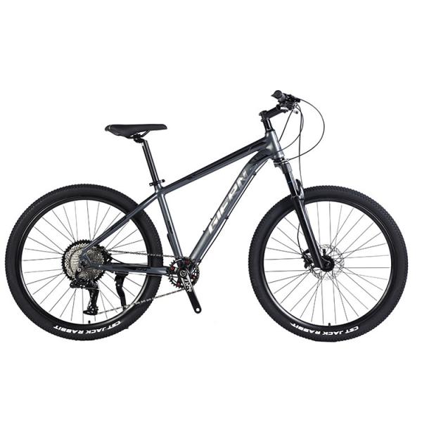 Mountain Bike Bicycle with Yinxing Hydrallic Disc Brake and Steel Rim 26/27.5/29