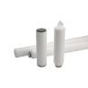 Buy cheap 0.1um 10" Pharmaceutical PES Filter Cartridge Asymmetric Pore Structure from wholesalers
