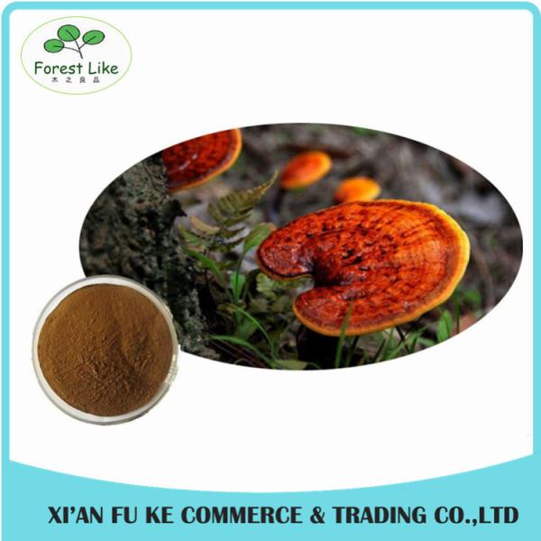 Buy cheap Anti-tumor Chinese Magical Herb Wild Lingzhi Shell-broken Spore Powder from wholesalers