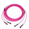 Buy cheap Low Insert Loss MPO / MTP Fiber Optic Patch Cord for Data Center from wholesalers