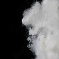 Buy cheap 7D Flame Retardant Fiber 64mm Flame Retardant Hollow Conjugated Polyester Fibre product