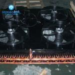 Evaporator air cooler for freezer /cold storage