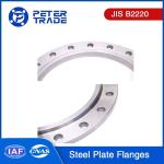 Stainless Steel Plate Flanges JIS B2220 30K Welding Raised Face Plate Blank
