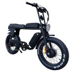 48V 150W Dual Motor Fat Tire Electric Bike Hydraulic Disc Brakes Ebike For