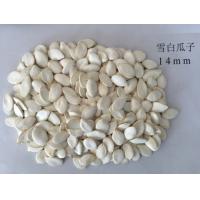 Buy cheap Snow White 99% Purity Pumpkin Seed Pumpkin Seeds Also Have Certain Effect On product
