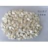 Buy cheap Original Flavor Roasted Seeds And Nuts Snow White Pumpkin Seeds 99% Purity from wholesalers