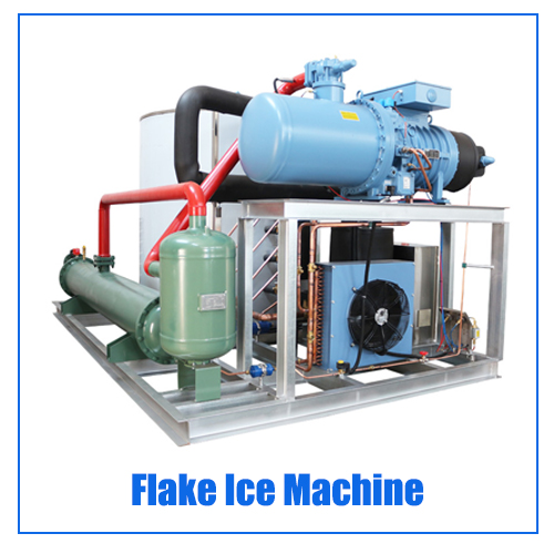 Emerson 3 Ton Directly Cooling ICEMA Containerized Block Ice Plant
