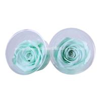 Buy cheap Ecuador Preserved Rose Head Long Life Roses For Party Event Decoration product