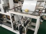 55PPM Disposable Sanitary Towel Packaging Machine