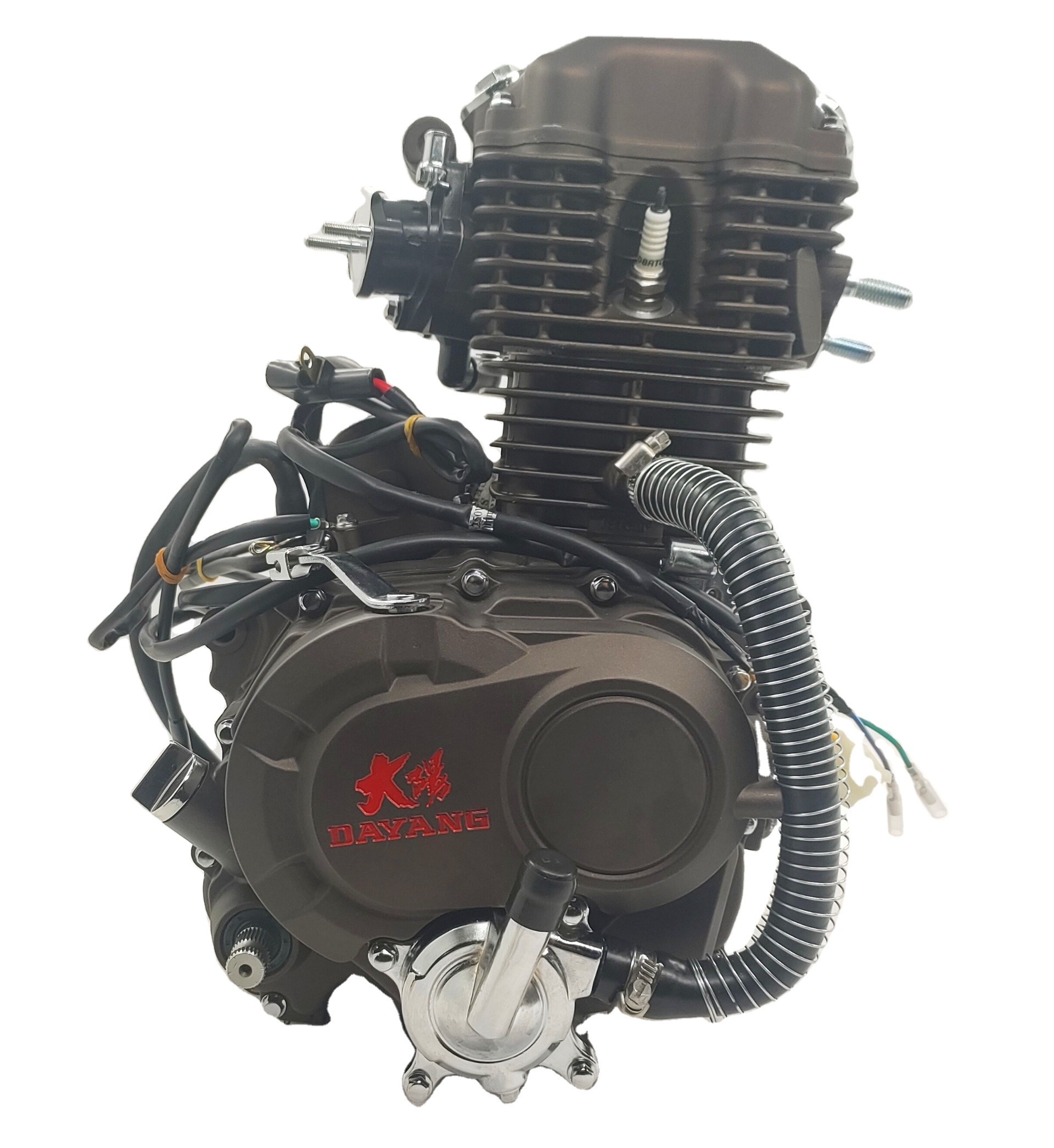 Max.Power 10.2/8000 Gasoline Tricycle Engines Assembly from DAYANG for Chinese Motorcycles