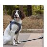 Buy cheap Fashionable Luxury Nice Quality Pet Vast Harness Fastness Walking Leashes For Small Pet Dog from wholesalers