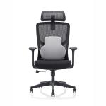 Mesh Fabric Ergonomic Office Chair for Workstation and Manager 645*630*1145