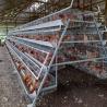 Buy cheap 3, 4, 5 Tiers A Frame Layer Cages Chicken Poultry Laying Hens House Equipment from wholesalers