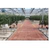 Buy cheap Commercial Industrial Single Span High Tunnel Tomato Plastic Agricultural Greenhouse from wholesalers
