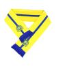 Buy cheap Polyester Satin Printing Sports Team Scarves , Promotional Custom Sports Scarves from wholesalers
