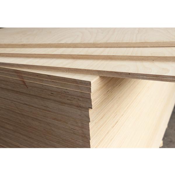 Buy cheap Customized E1 E2 Plywood Birch Sheets 3mm 4mm 6mm 10mm Marine Plywood from wholesalers