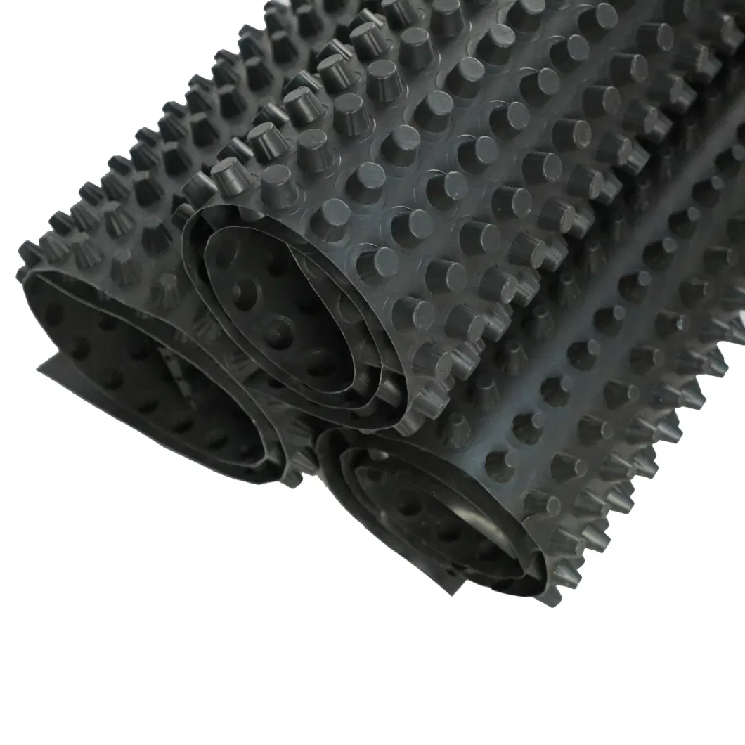 HDPE Drainage Board Compound Dimple Waterproof HDPE Drain Plastic Drainage Board Dimpled Drainage Board