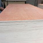 WB Phenolic Bintangor Plywood