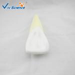 19x16x11cm Dental Study Models