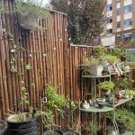 120cm Raw Bamboo Pole