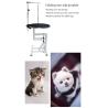 Buy cheap Electric Cross SS Veterinary Surgery Table For Pet Grooming from wholesalers