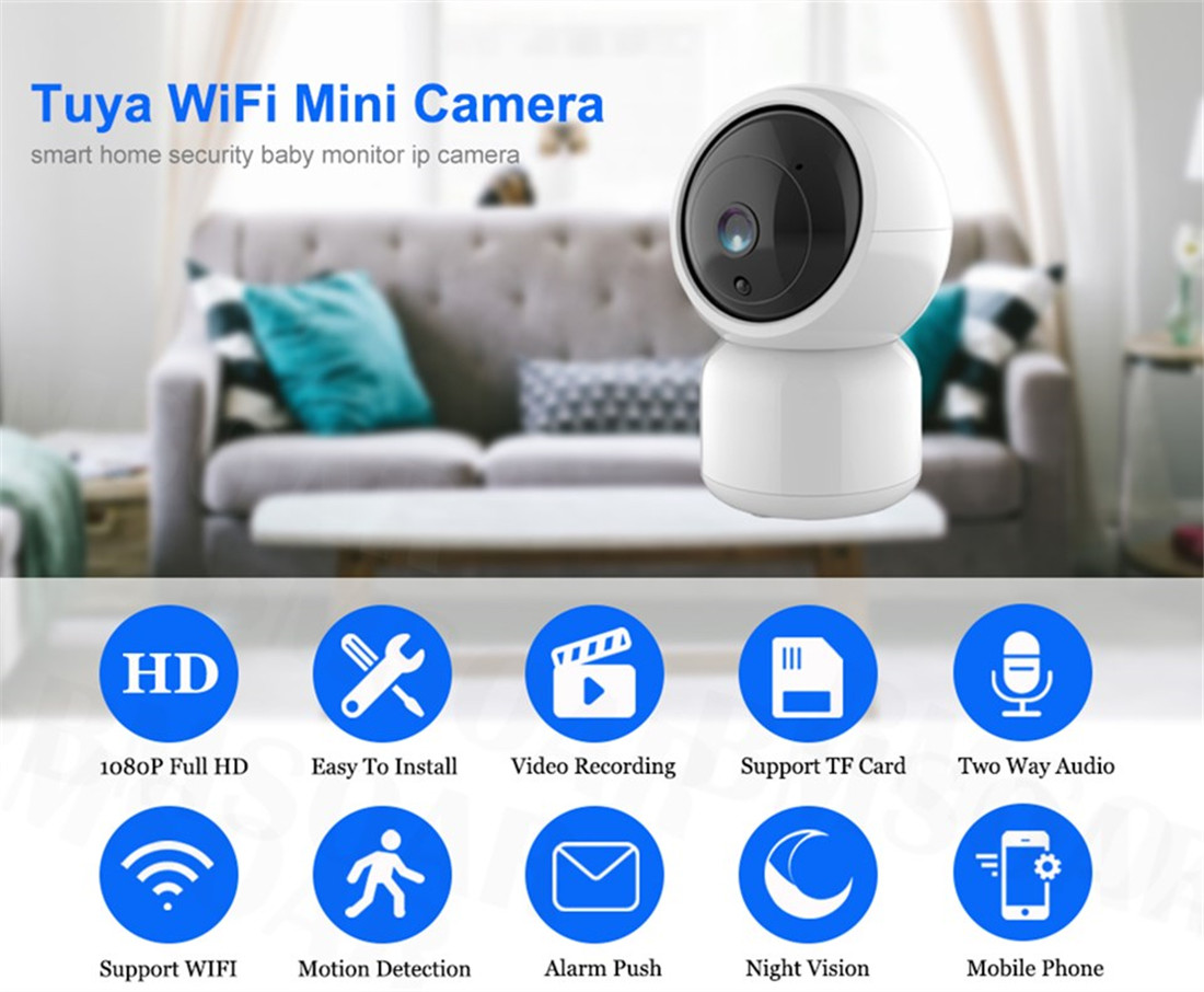 Smart Indoor P/T Camera(TV-308ZD-1MP)