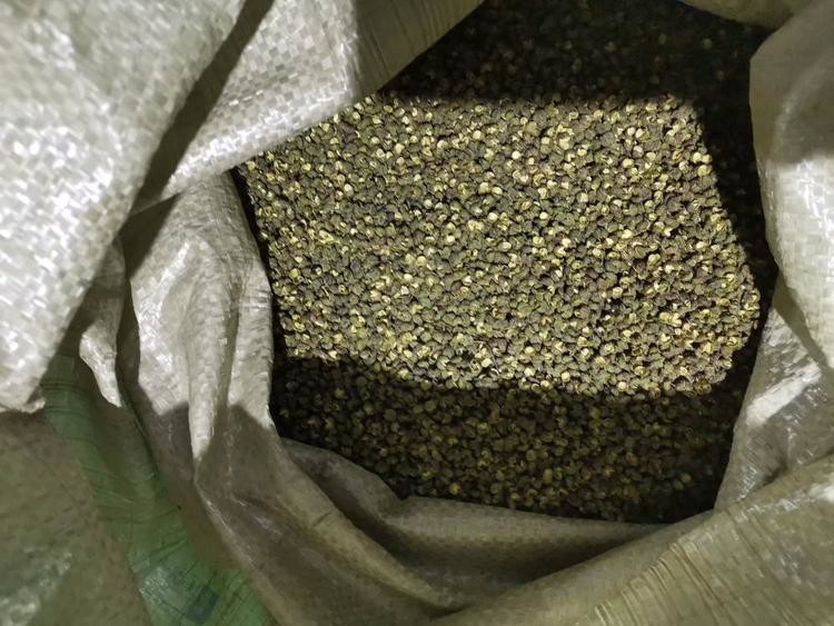 Crawler Belt Style Pepper Sorting Machine 1000kg ISO9000 approval