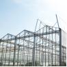Buy cheap Vegetable Hydroponics Venlo Tempered Glass Greenhouse Multispan For Tomato Growing from wholesalers