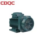 7.5 KW 3000 Rpm AC Synchronous Torque Motor , 3 Phase Synchronous Motor