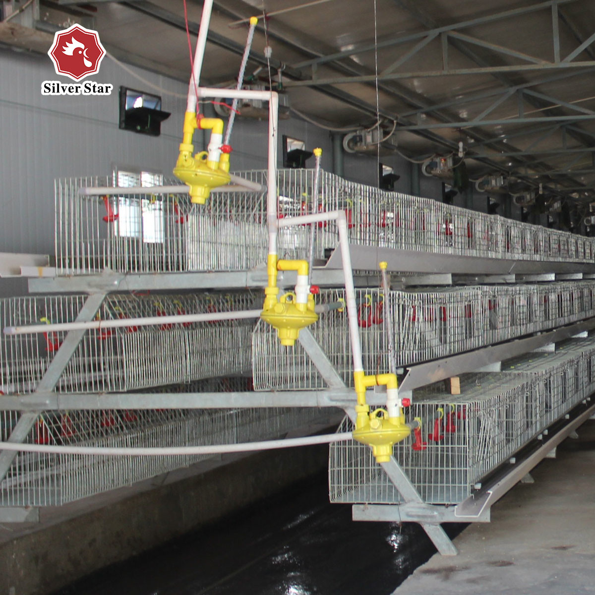 Pullet Chick Breeder Broiler Chicken Cage A Type Layer Egg Hens Galvanized Steel Mesh