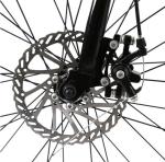 25km/H Long Range Electric City Road Bike 750w High Power Two Wheel