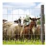 Buy cheap Hot Dipped 2.5mm 15cm 20cm Hole Size 1.2x100m 10 Lines Fixed Knot Deer Fence Field Fence from wholesalers