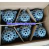 Buy cheap GG20 BS21 cast iron resilient seal foot valve from wholesalers