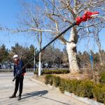 Anti Spin Pole Battery Chainsaw 18FT Carbon Fiber Pole Chainsaw Battery Powered