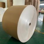 Brown Eco PE Coated Kraft Paper Roll 300G